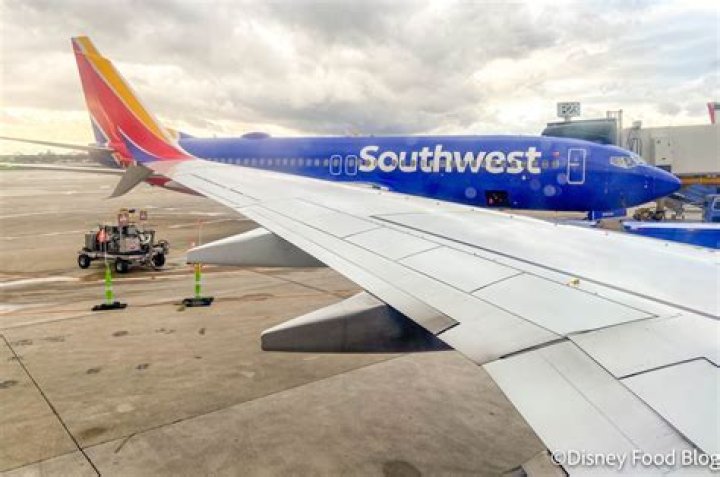 Airline reveals how they make their in flight meals