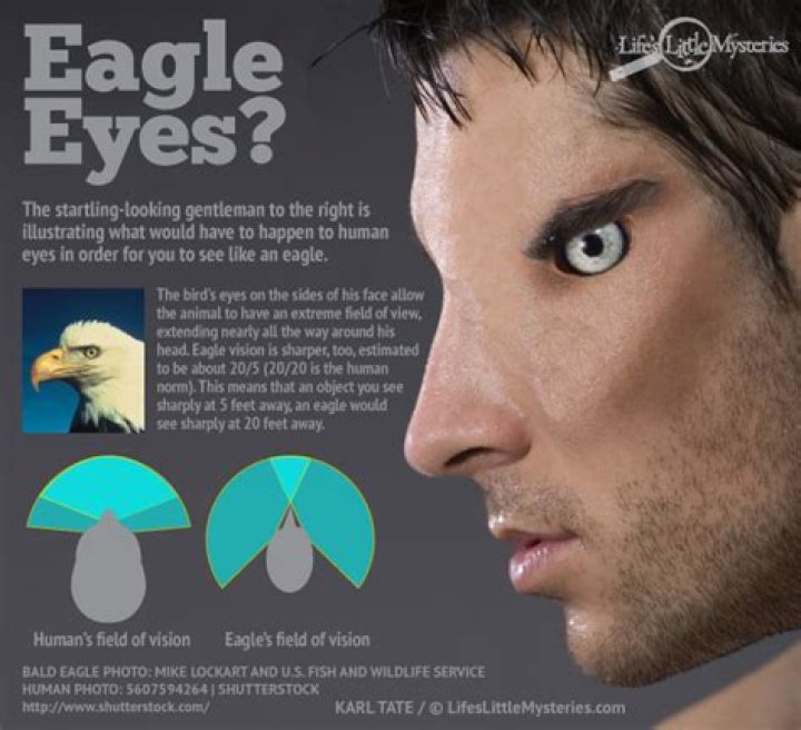 If you have Eagle Eyes Find the Number 662 among 672 in 15 Secs