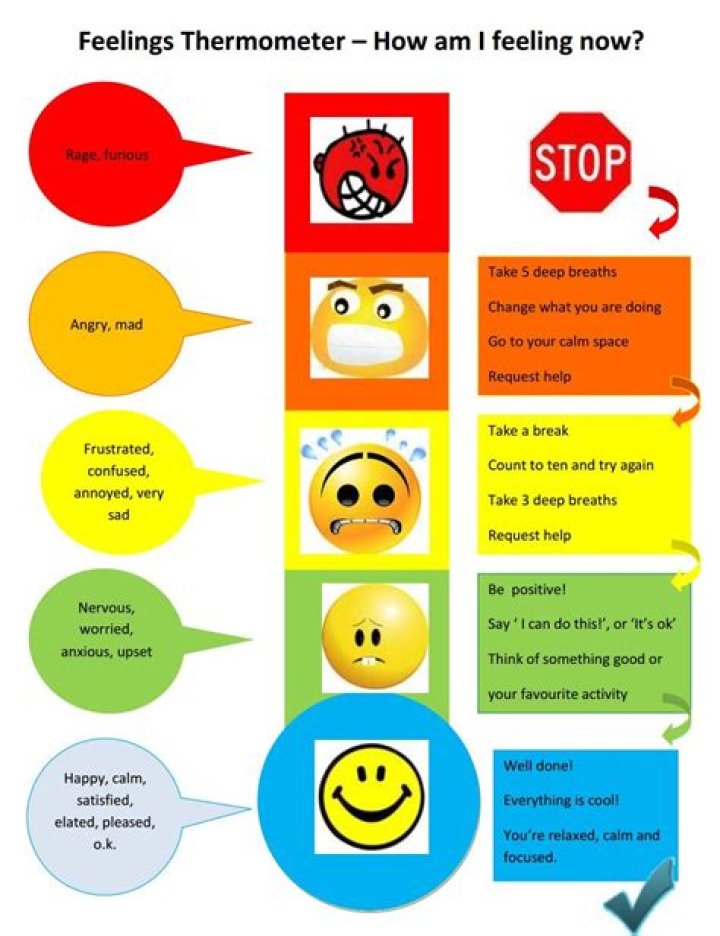 Term 1 Inside Out Emotions
