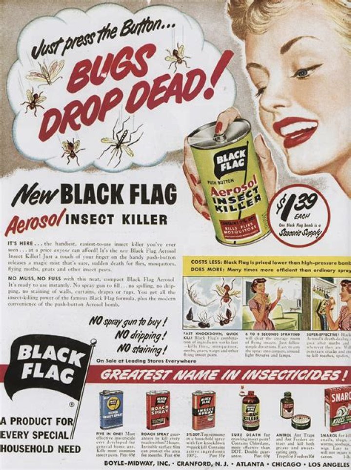 The model&nbsp;appeared in advertisements for Canon, Virgin Atlantic, AXE and Lynx