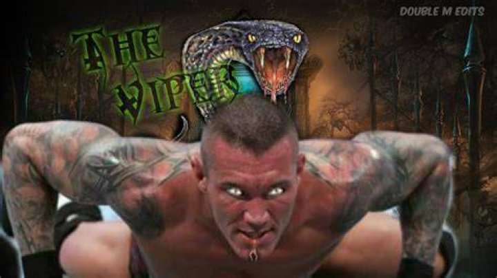 The Viper Randy Orton Wallpaper (31658863) Fanpop